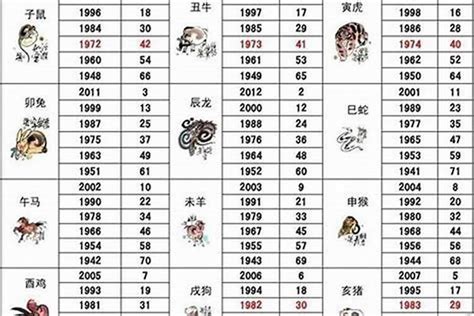 2000年属什么